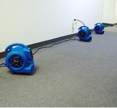 Air Mover Drying Carpet